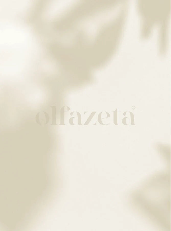 Parfum Olfazeta en valise